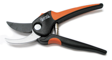 secateurs for cutting the withies