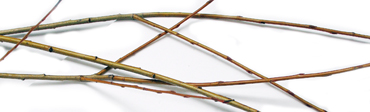 withies for making sculpture