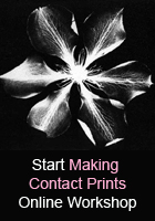 start Making Contact Prints Online Resource