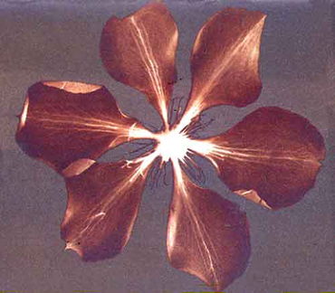 Making Sun Pictures