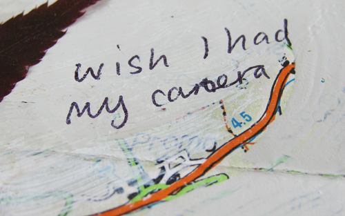 "wish I had my camera"