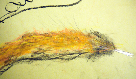 Oil Pastel and Graphite Feather Drawn by Six Year Old