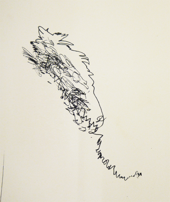 Blind Drawing of a Feather Blind Drawing of a Feather