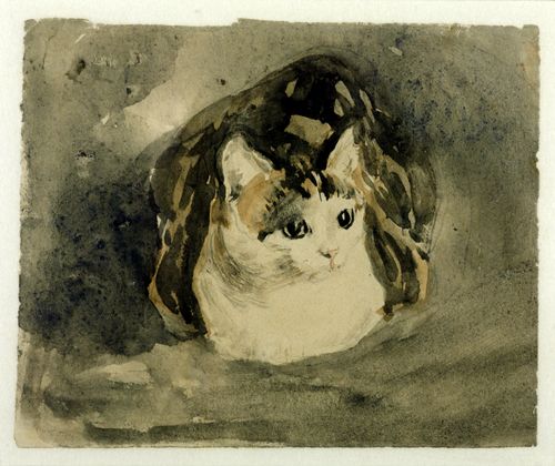 Line and watercolour studies of soft toys, inspired by Gwen John's watercolour cat paintings.