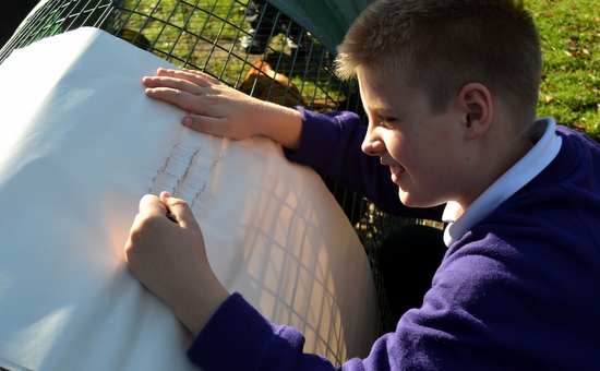Pupil taking a rubbing of the chicken coup!