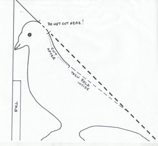 alex leadbeater - pigeon artwork