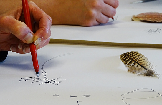Continuous Line Drawing