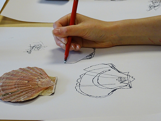 Backwards Forwards Line Drawing