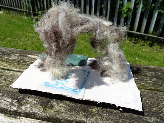 Following personal exploration (Where the Wild Things Are)