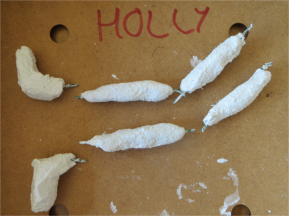 At this stage all the limb pieces look anonymous so don't forget to label them with your name!
