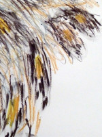 Oil pastel, graphite