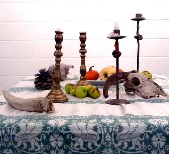 Still Life with Skull Drawing Skulls