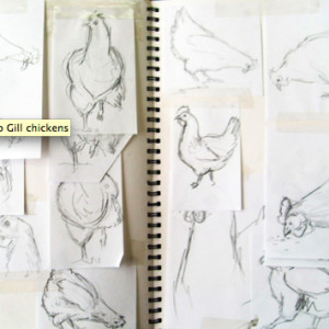 chickens