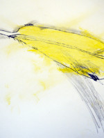 Oil Pastel and Graphite Drawing of Feather by Child