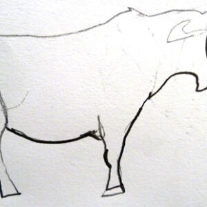 Drawing for Ages 11 to 16