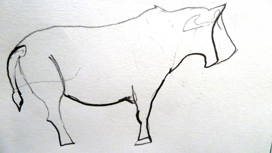 foreshortening and volume in line drawings: Foreshortened Cow by Jasmine