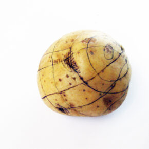 Contour Lines Drawn on a Potato