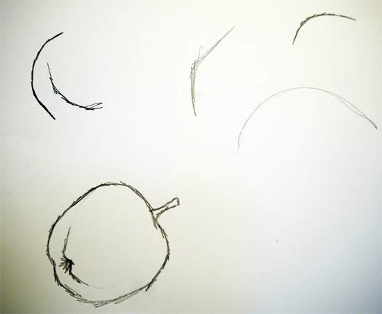 Backwards Forwards Sketch Marks Backwards Forwards Sketch Marks