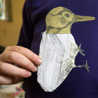Woodpecker