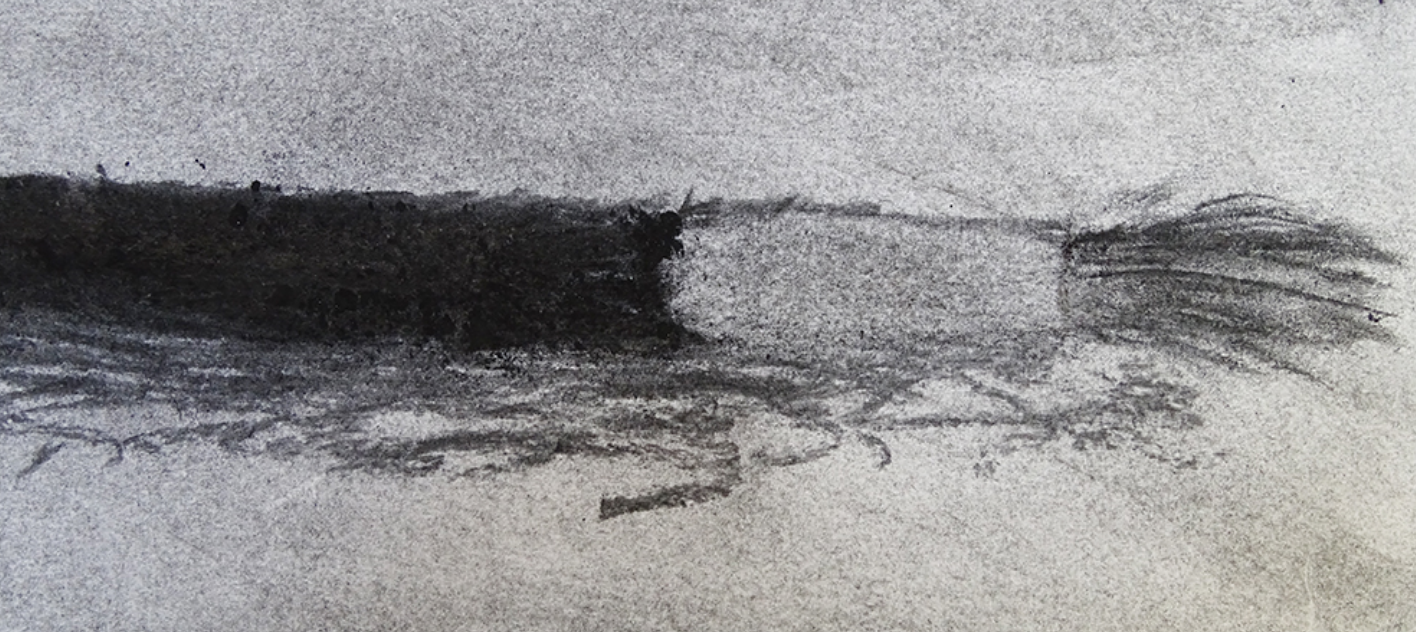 drawing brushes with charcoal