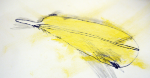 Drawing feathers