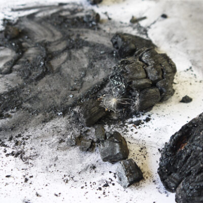 Charcoal dust Charcoal dust