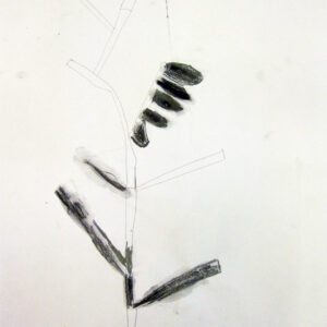 Charcoal pencil