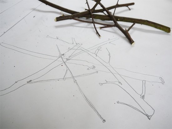 Drawing Structure Drawing Structure