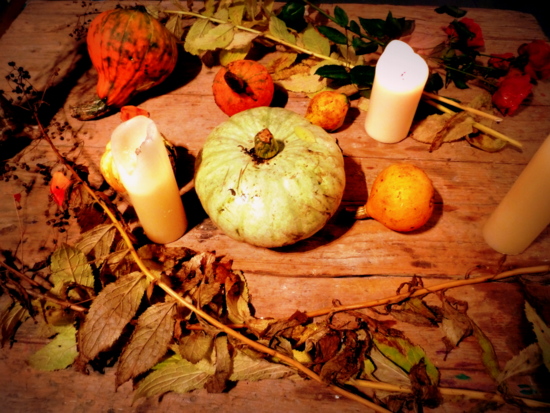 Halloween still life - pumpkin