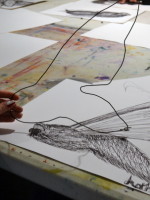 Lottie makes her wire 'drawing' inspired by her continuous line drawing of a moth