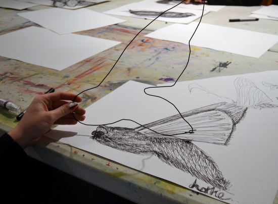 Drawing insects in wire: Lottie makes her wire 'drawing' inspired by her continuous line drawing of a moth