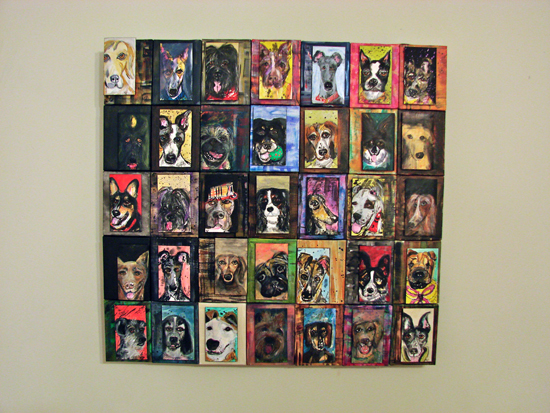 1000 dogs project by Kathryn Sjogren