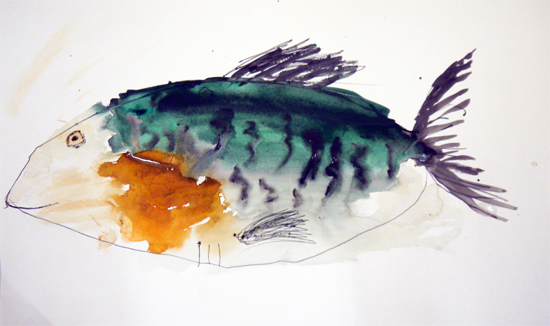 Drawing fish: Watercolour and graphite