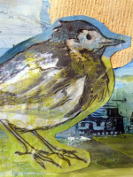Morag Thomson Merriman