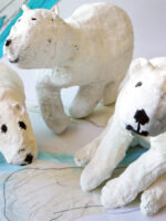 Polar bears at Bourn Primary Academy