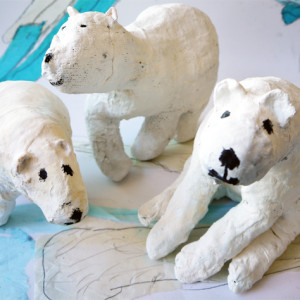 Polar bears at Bourn Primary Academy