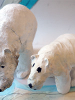 Polar bears at Bourn Primary Academy