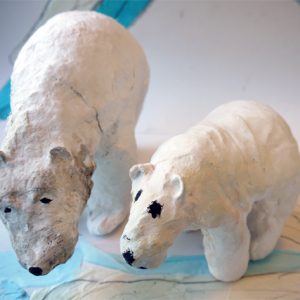 Polar bears at Bourn Primary Academy