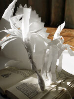 Finished book art