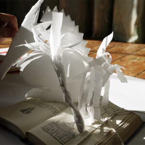 Finished book art