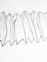 Concertina paper