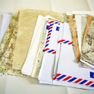 Selection of torn papers