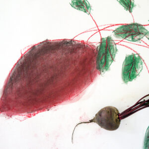 Explore a variety of media through drawing vegetables