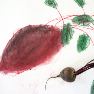 Chalk beetroot