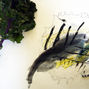Curly kale watercolour study, by Kelly aged 7
