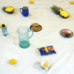 The picnic spread!