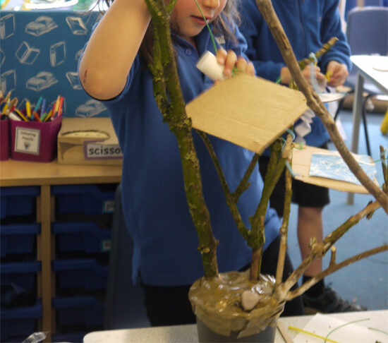 Each child made their own treehouse