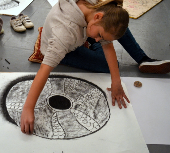 Drawing shells, Amy drawing a 'Sea Urchin' big in charcoal