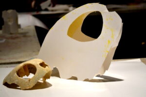Tilly's construction of a Turtle Skull