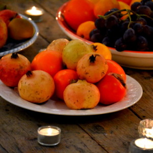 Drawing fruit during winter